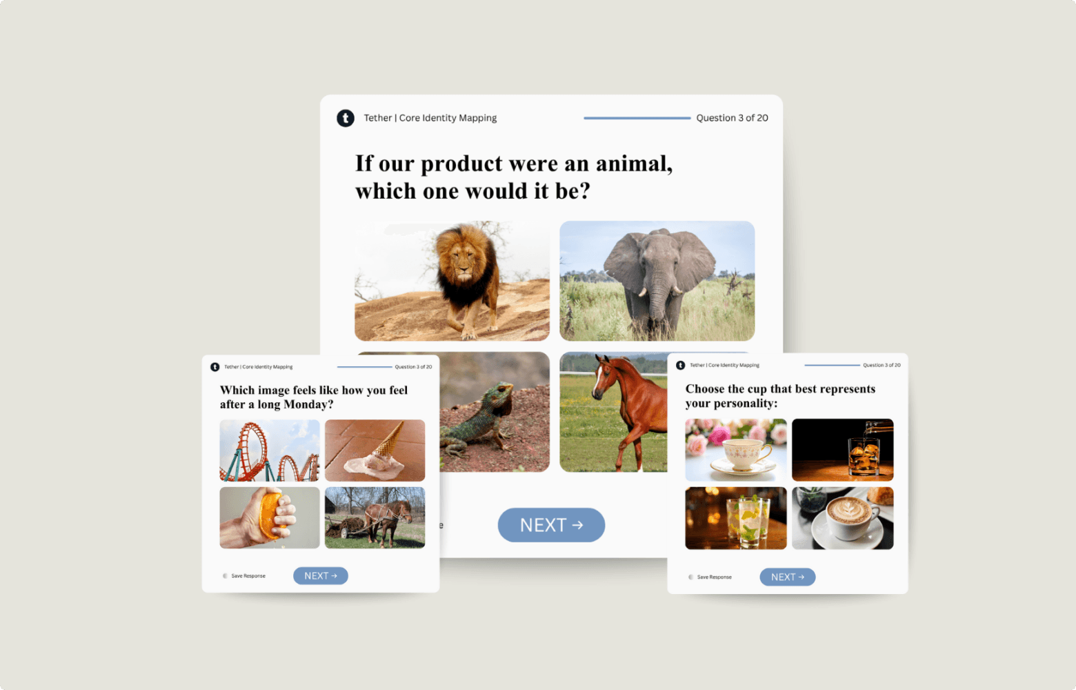 levinger-animals.png